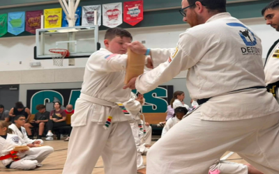 What Parents Should Know About Progress Tracking in Youth Martial Arts Programs